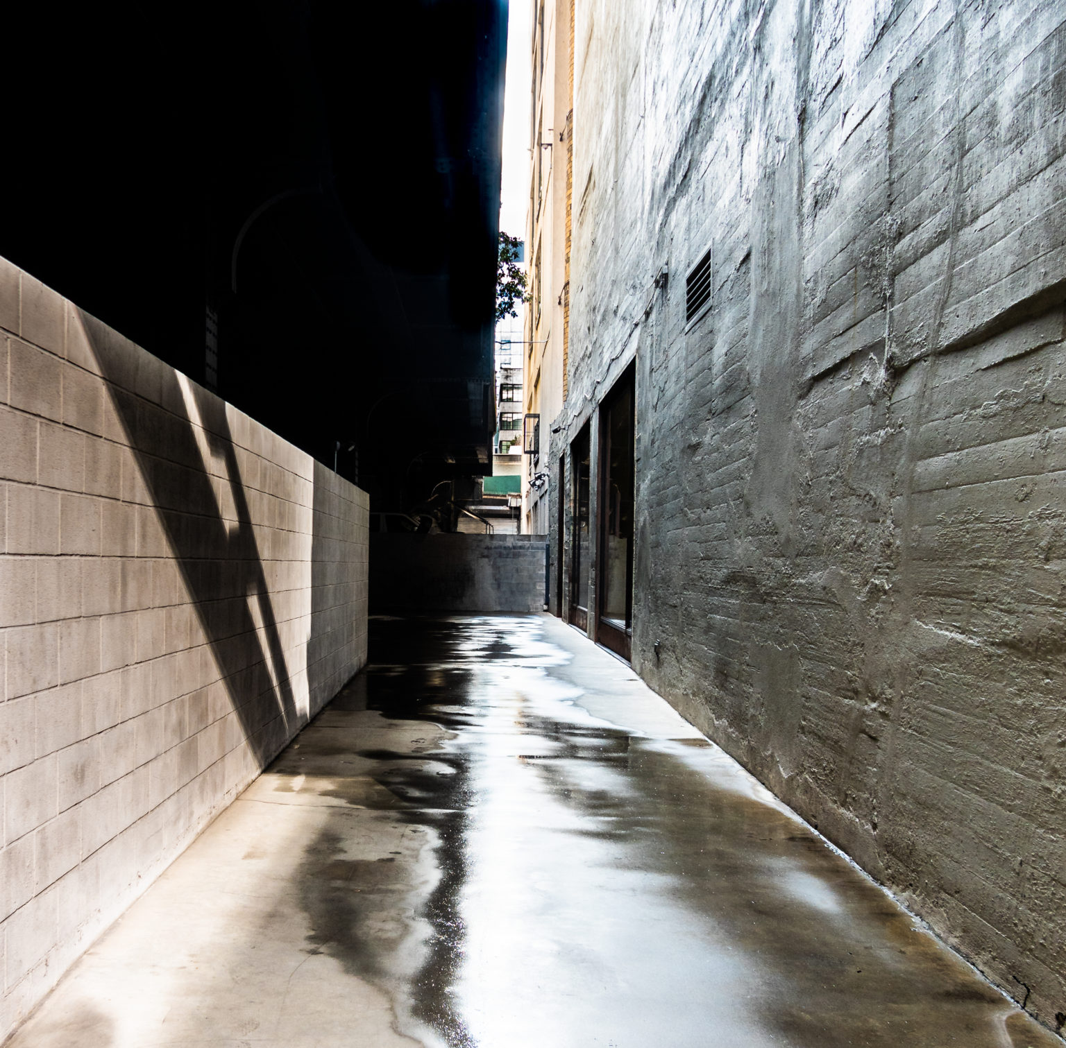 Alley (New York City)